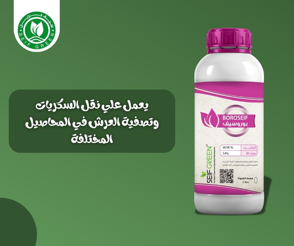 470001859_122102229146670130_7681467190773786380_n