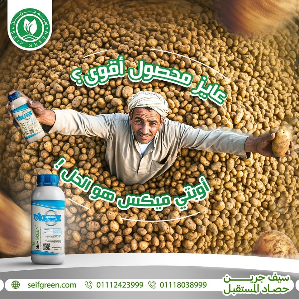 490198258_1174126181393427_7375898377332732844_n