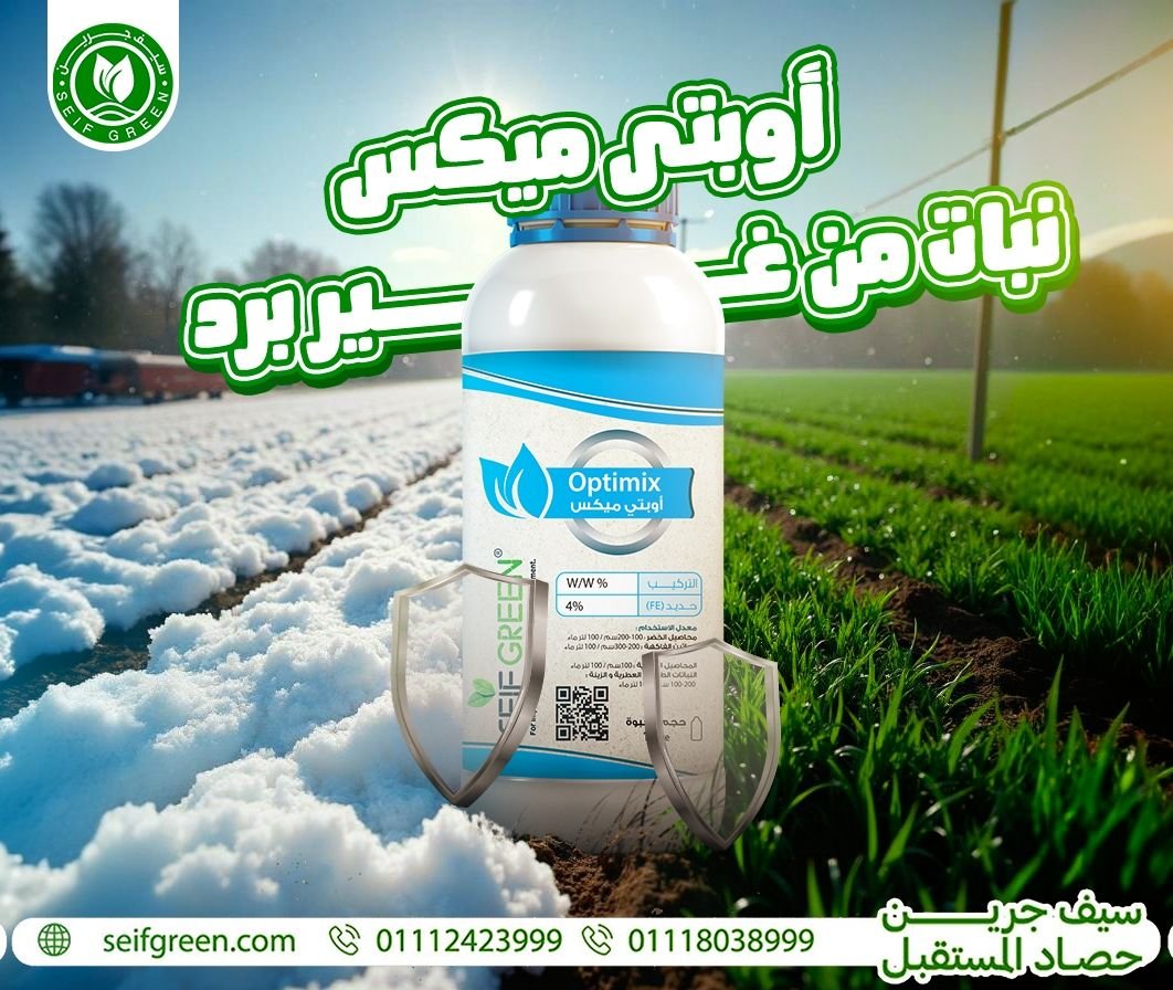 490586415_1176036557869056_1612174750421554750_n