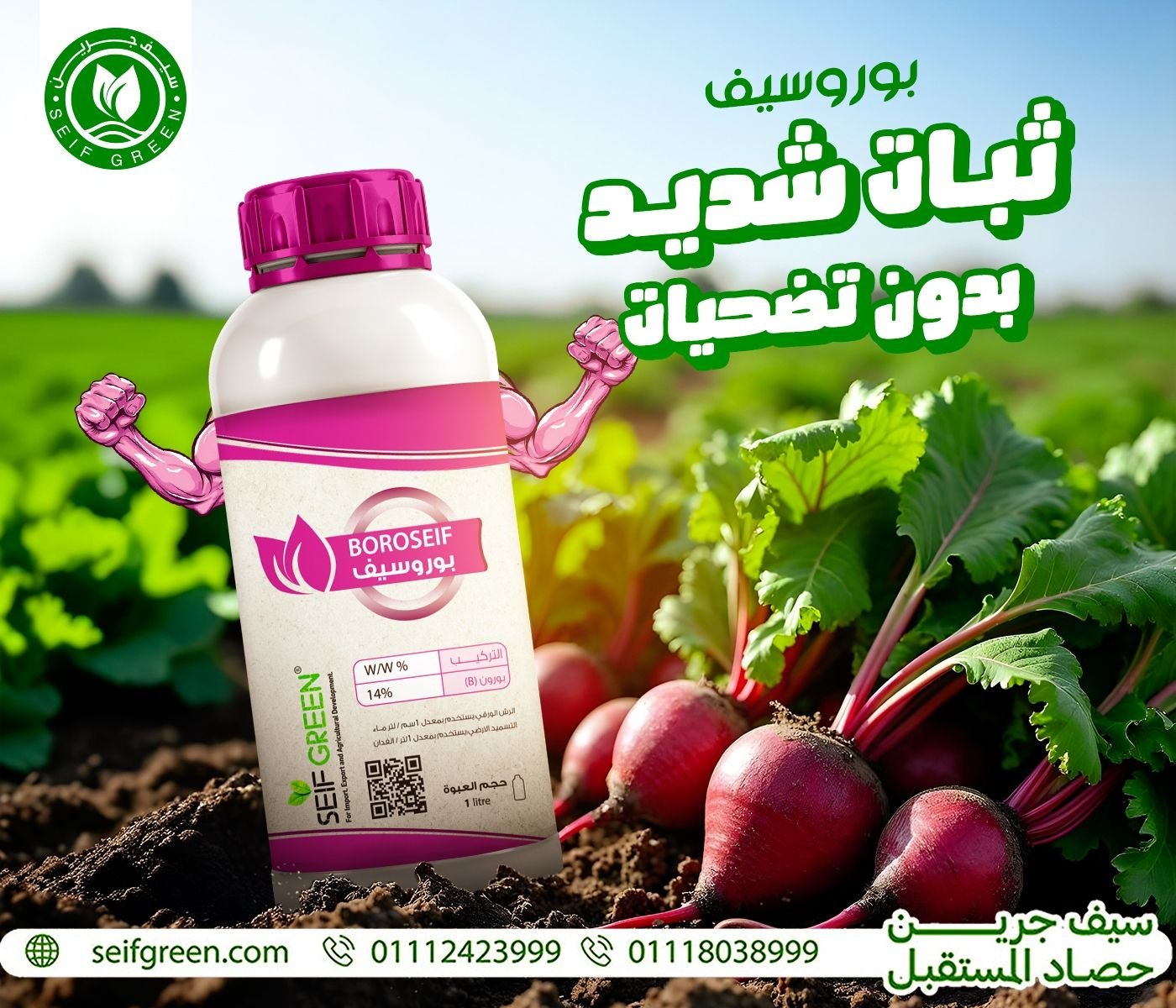 491342693_1176046477868064_4762530373392162851_n