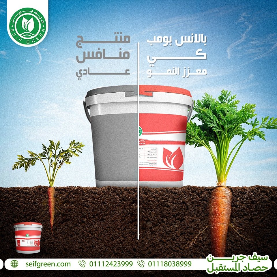 490355929_1174936474645731_8529480382544161948_n