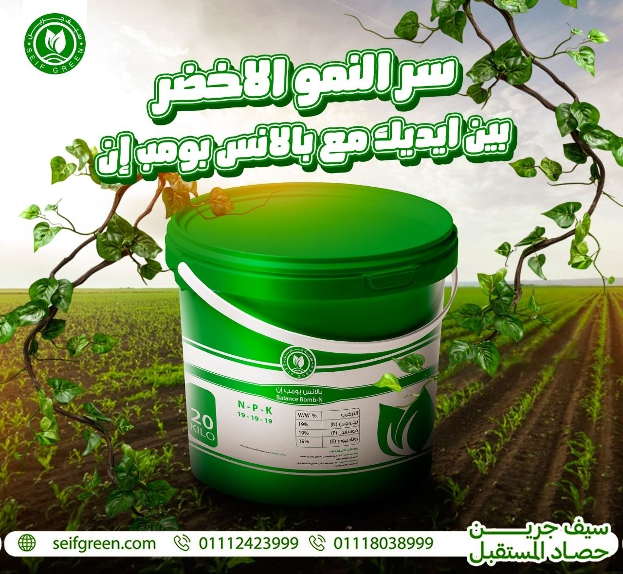 491681242_1176203257852386_2288612440535687146_n