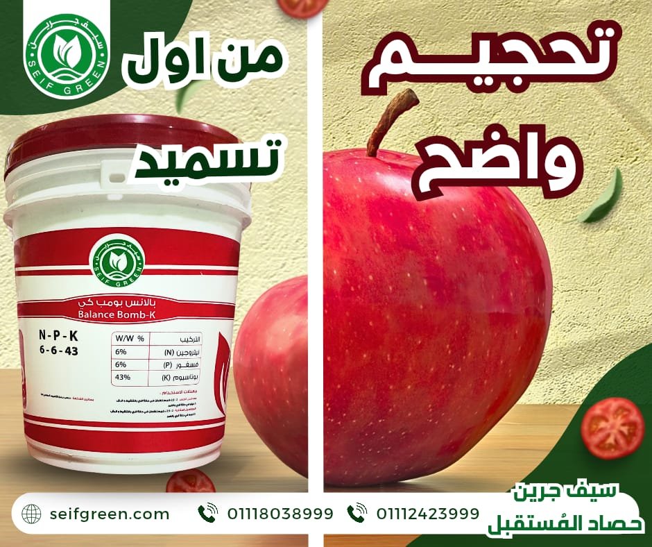 WhatsApp Image 2026-01-05 at 11.36.01