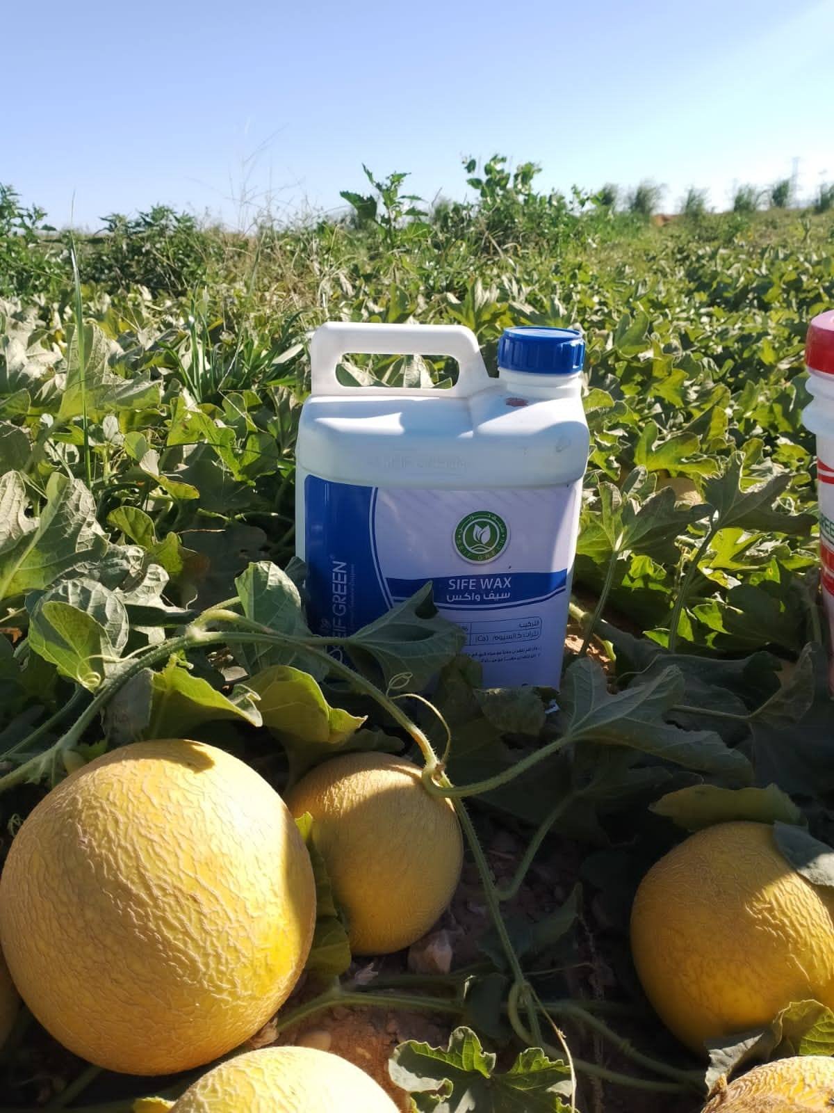 495338919_1193342246138487_7828256760073741771_n