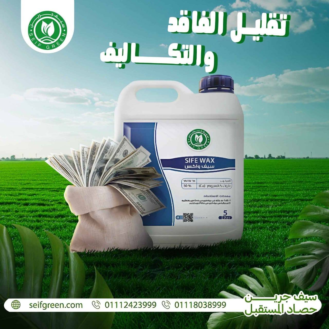 502737080_1216691197136925_1731712677945042179_n