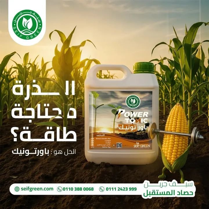 510022426_122145525980608859_1703777905841788435_n