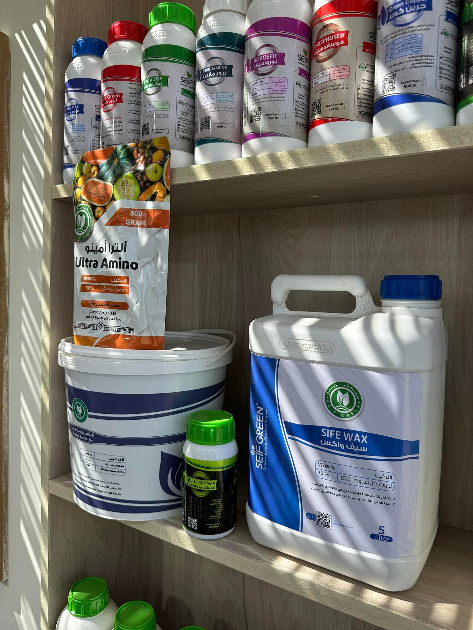 565661875_1336345341838176_6558272191690636385_n