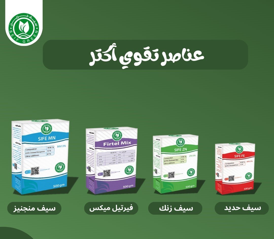 469846185_122102339090670130_639743676505992997_n