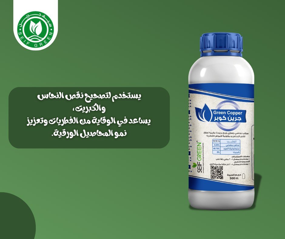 465153692_122102229392670130_2803215573951557603_n