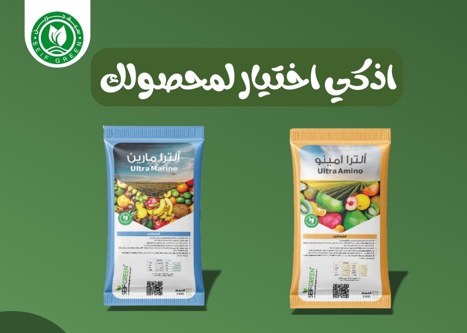 468955440_122100424514670130_4009803738830166146_n