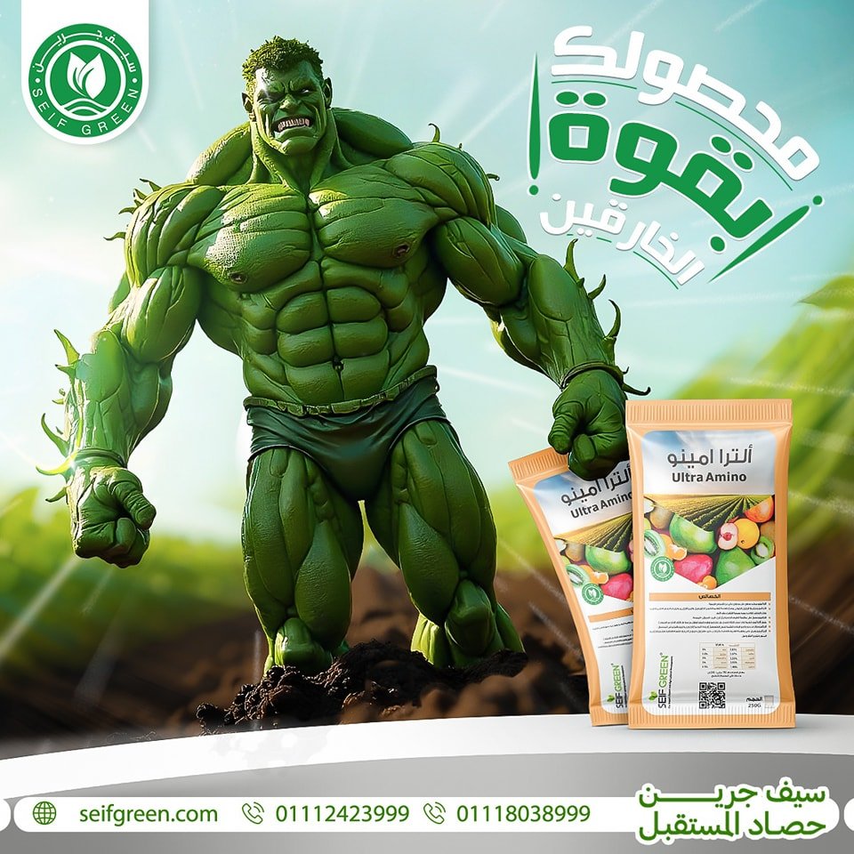 490408660_1174807107992001_142166142568895724_n