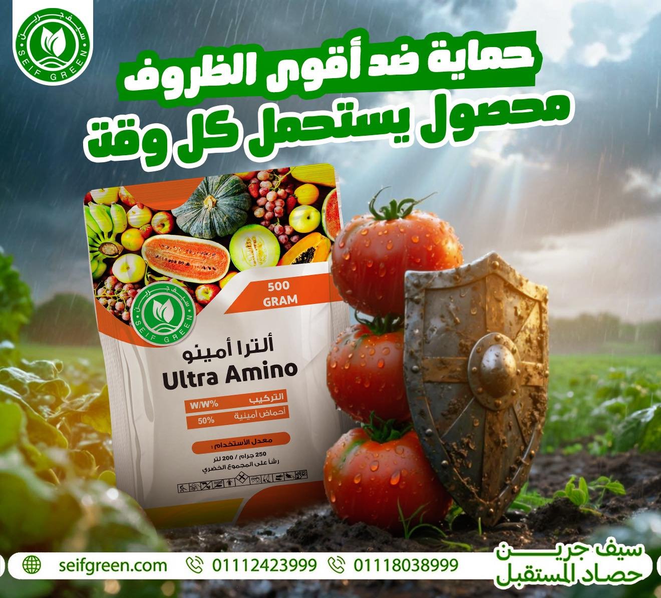 524988009_1262160295923348_2807985563156722782_n